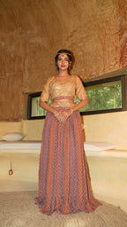 Petal Dust Fusion colour Lehenga with worked bodice