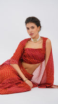 Ornate claret papillon Lehenga set