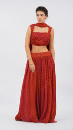 Ornate claret papillon Lehenga set