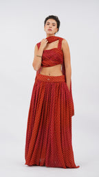 Ornate claret papillon Lehenga set