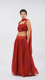 Ornate claret papillon Lehenga set